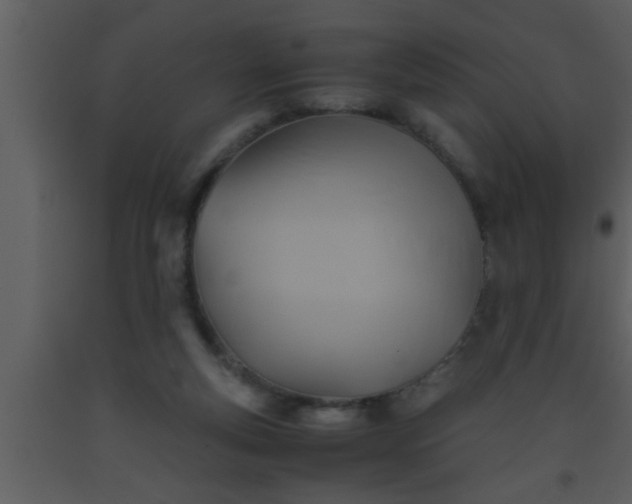 X0000093510163200710191319