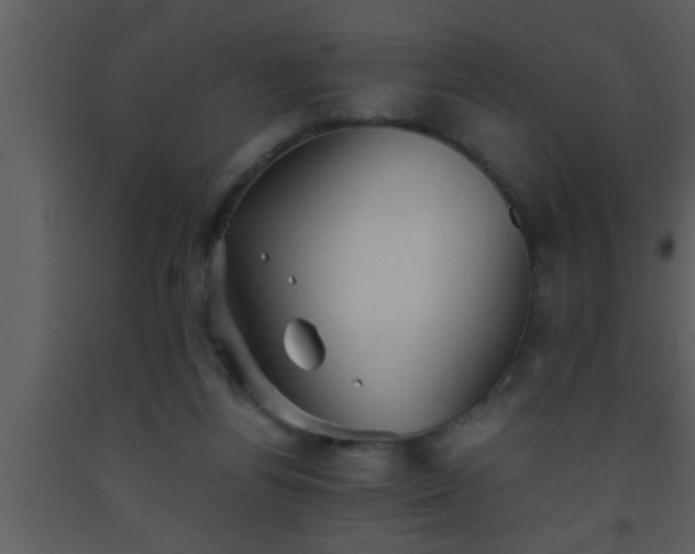 X0000093510164200710191319