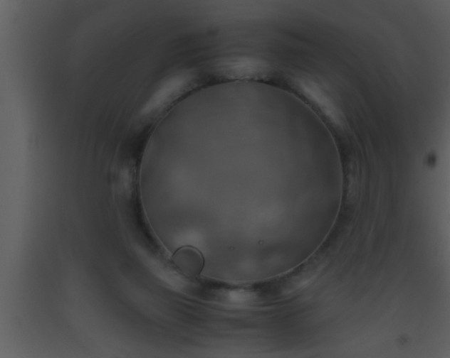 X0000093510165200710191319