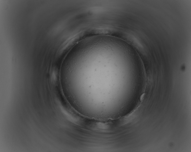 X0000093510166200710191319