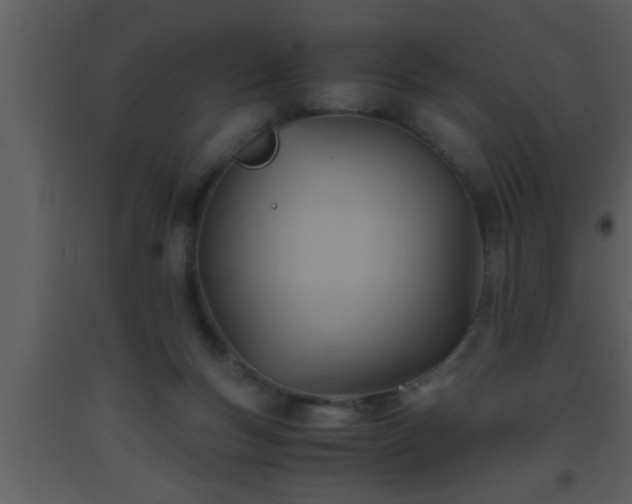 X0000093510167200710191319