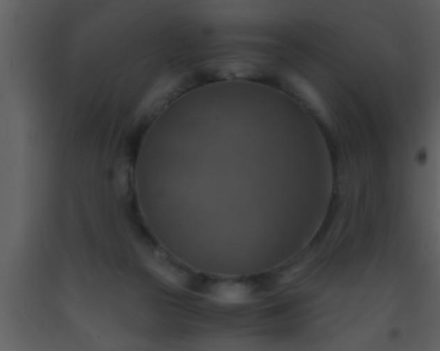 X0000093510169200710191319