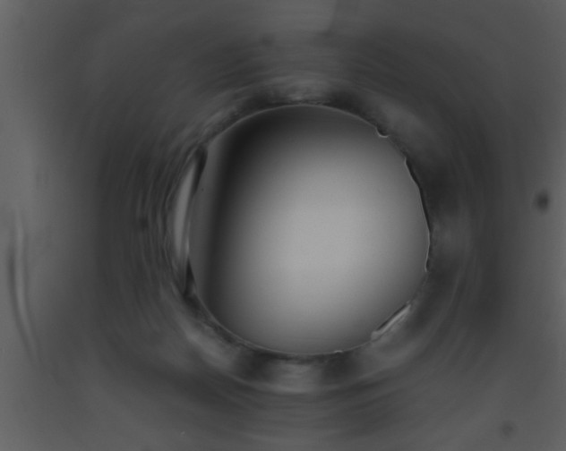 X0000093510170200710191319