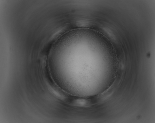 X0000093510171200710191319