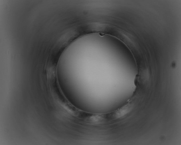 X0000093510172200710191319