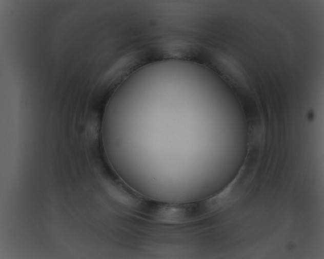 X0000093510174200710191319