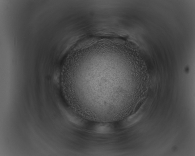 X0000093510175200710191319