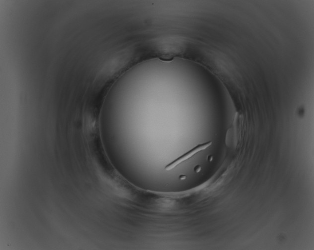 X0000093510176200710191319