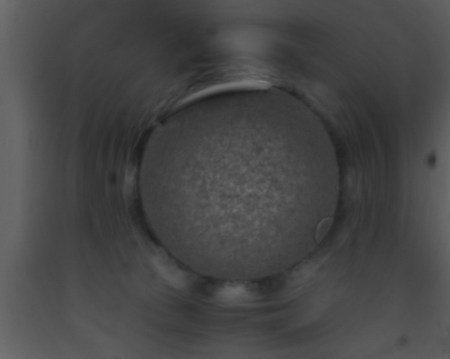 X0000093510177200710191319