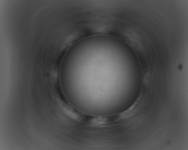 X0000093510179200710191319
