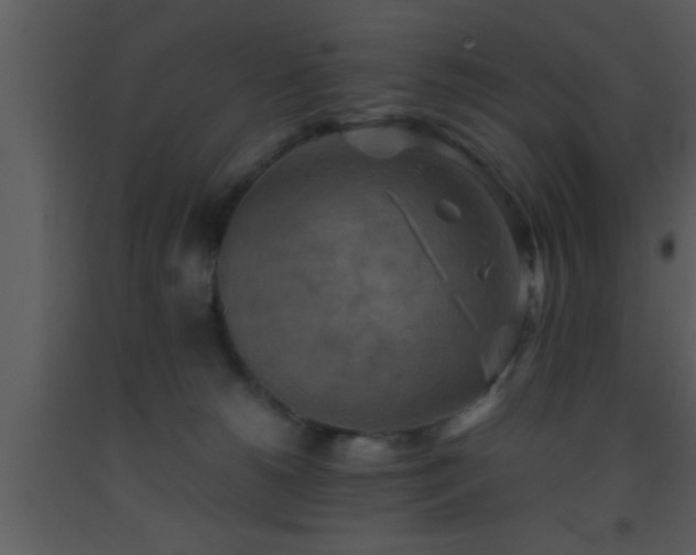 X0000093510180200710191319