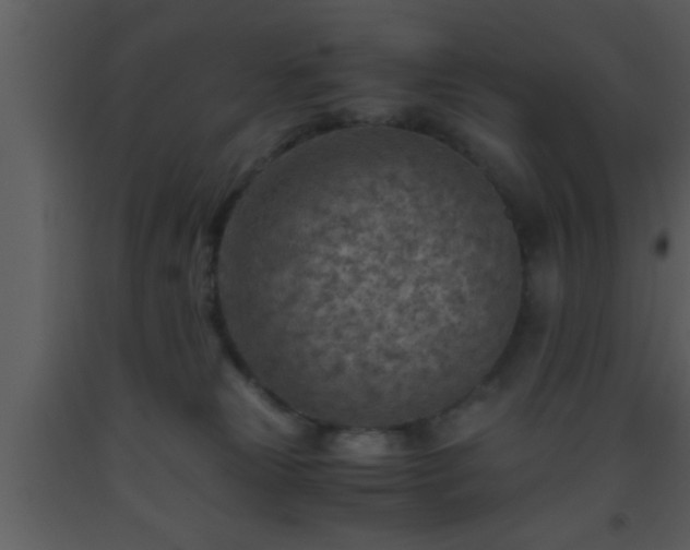 X0000093510181200710191319