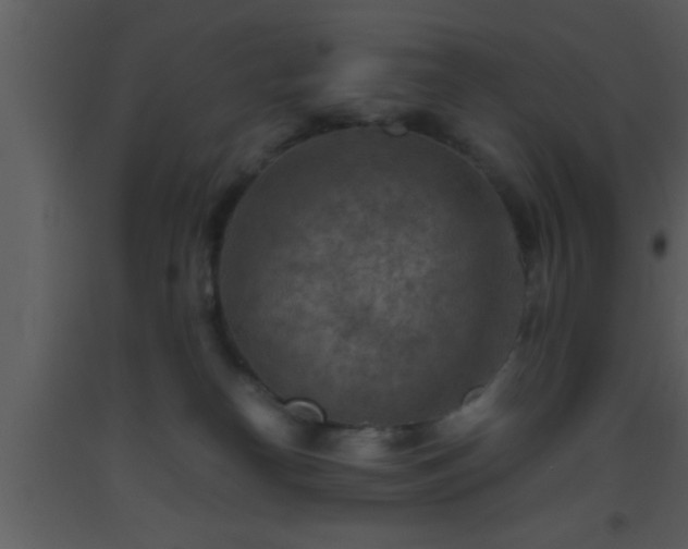 X0000093510182200710191319