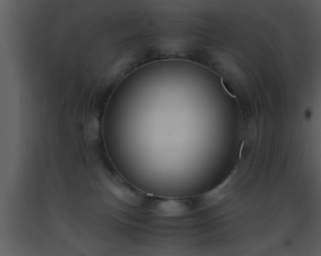 X0000093510183200710191319