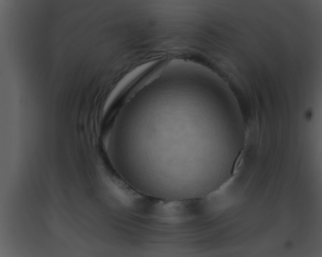 X0000093510186200710191319