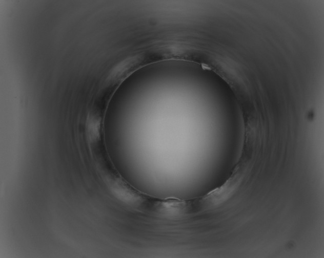 X0000093510188200710191319