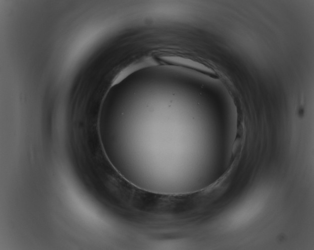 X0000093510190200710191319