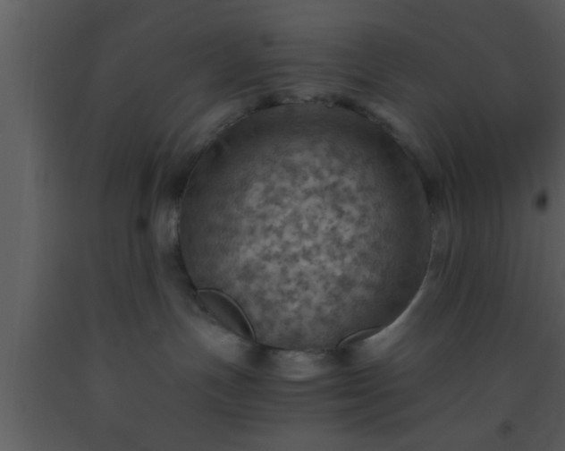 X0000093510191200710191319