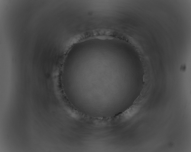 X0000093510192200710191319