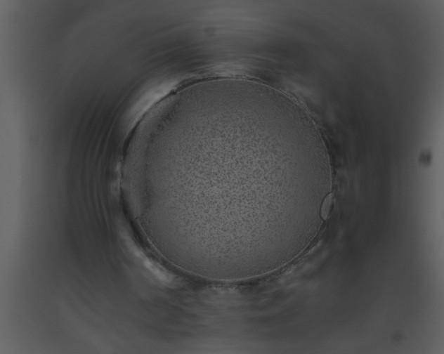 X0000093510194200710191318
