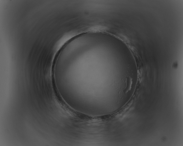 X0000093510196200710191318