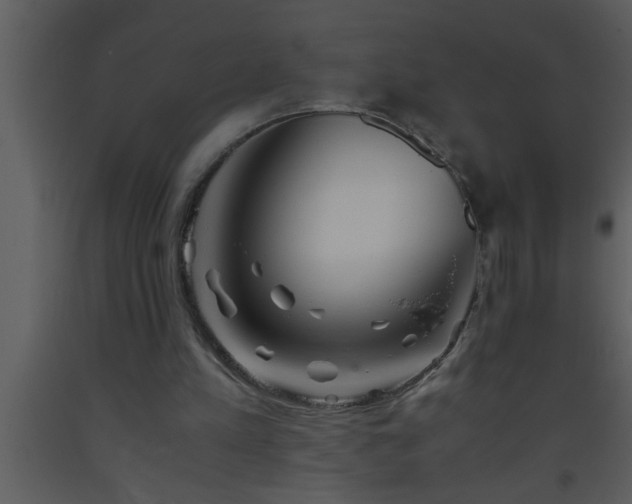 X0000093510197200710191318