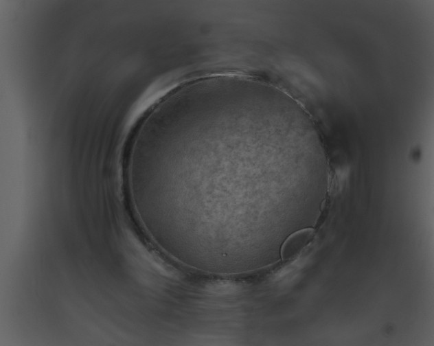X0000093510198200710191318