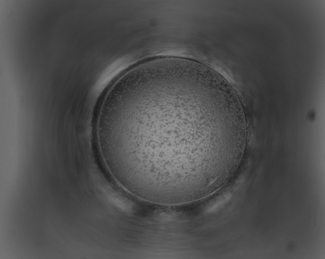 X0000093510199200710191318