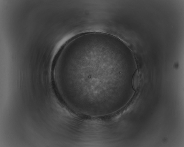 X0000093510200200710191318