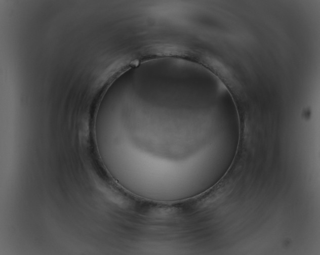 X0000093510202200710191318