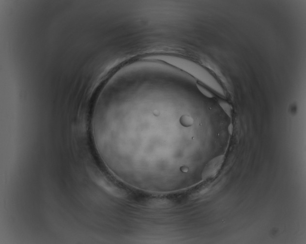 X0000093510203200710191318