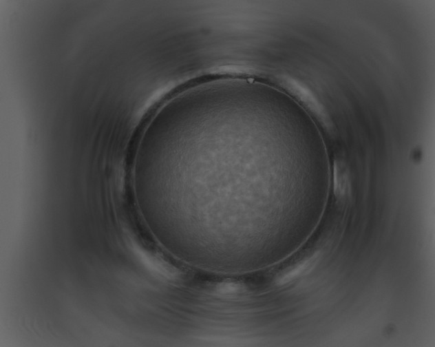 X0000093510204200710191318