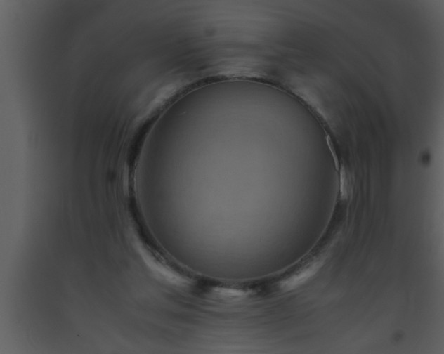 X0000093510205200710191318