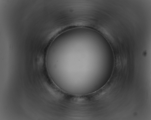 X0000093510208200710191318