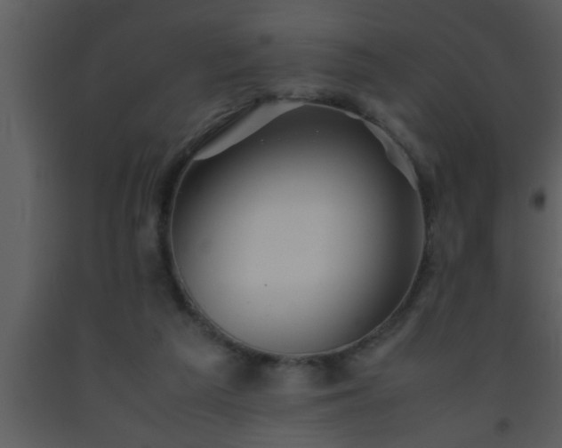 X0000093510209200710191318