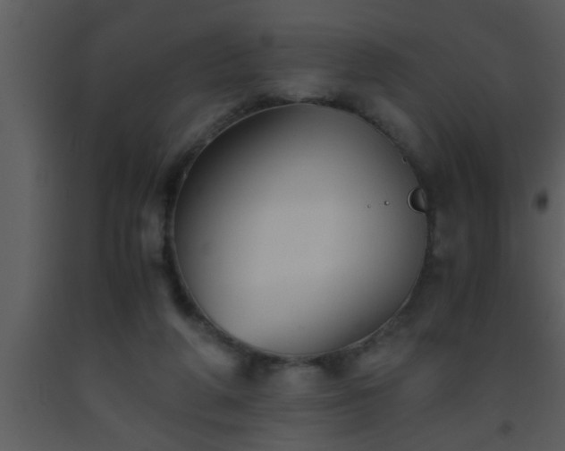 X0000093510210200710191318