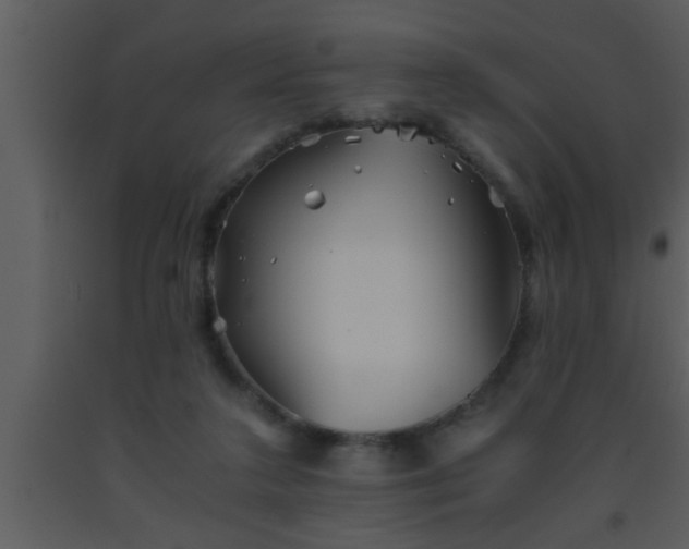 X0000093510211200710191318