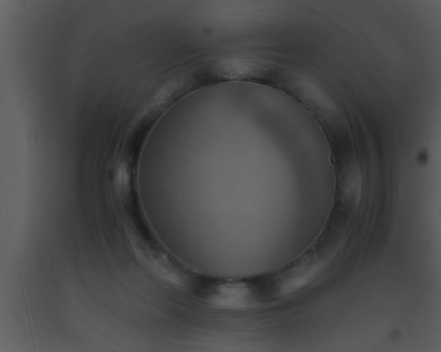 X0000093510214200710191318