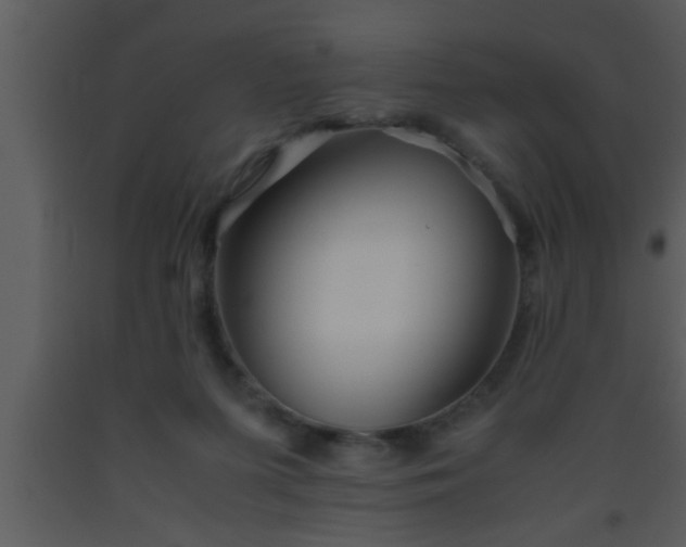 X0000093510215200710191318