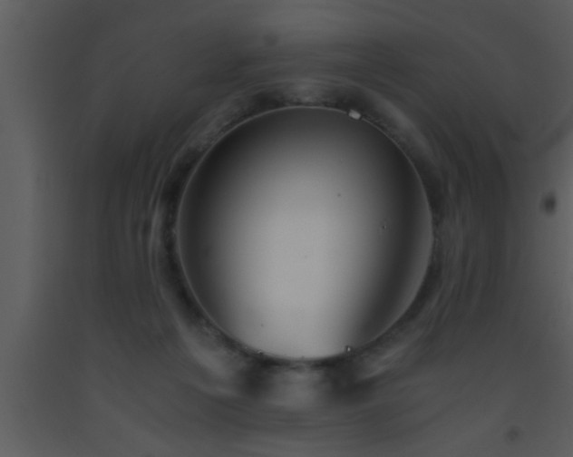 X0000093510217200710191318