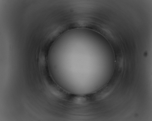 X0000093510220200710191318