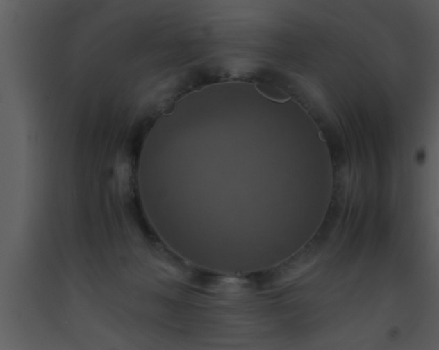 X0000093510222200710191318