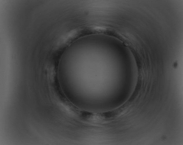 X0000093510223200710191318