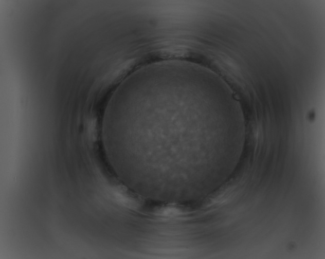 X0000093510224200710191318