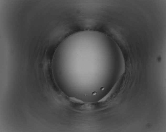 X0000093510225200710191318