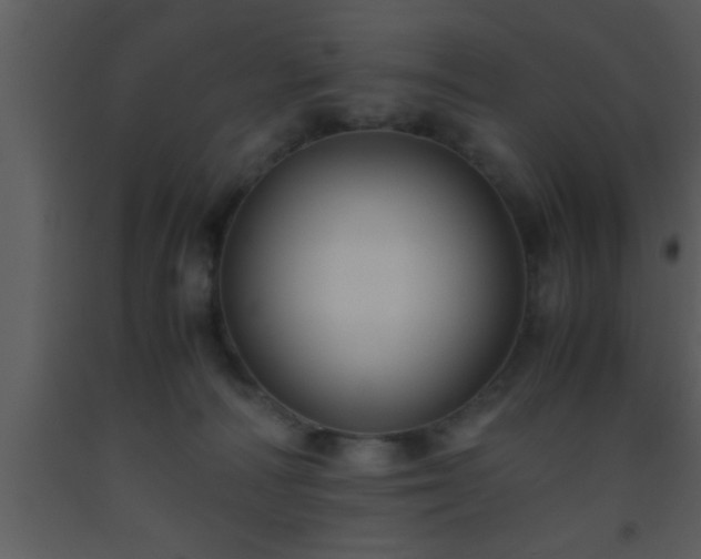 X0000093510226200710191318