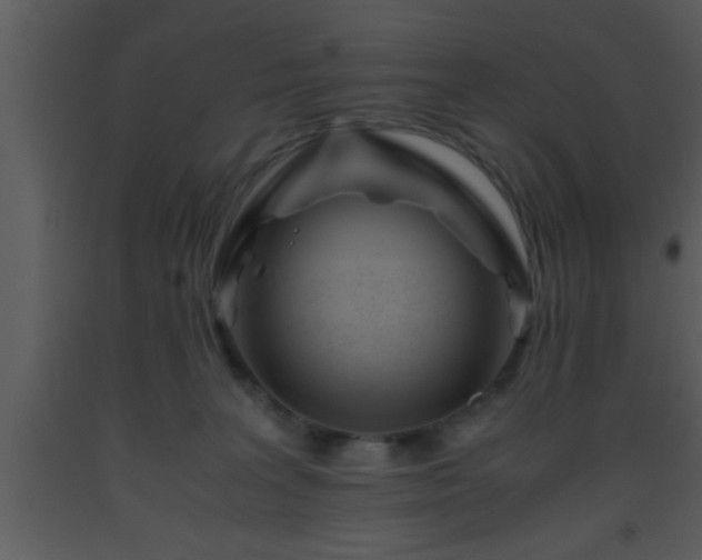X0000093510227200710191318