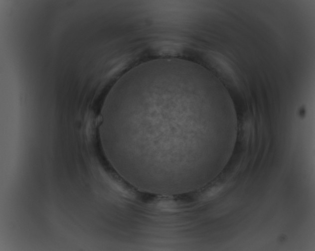 X0000093510228200710191318