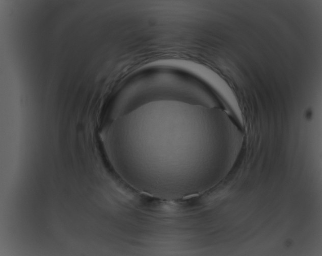 X0000093510229200710191318