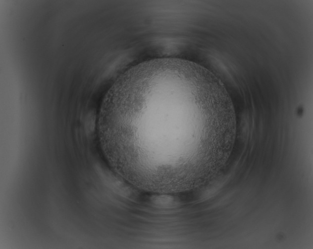X0000093510230200710191318